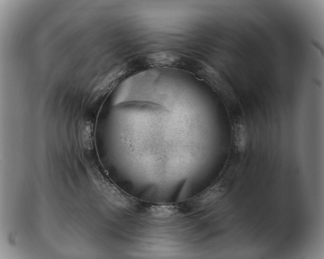 X0000103430378200809191706