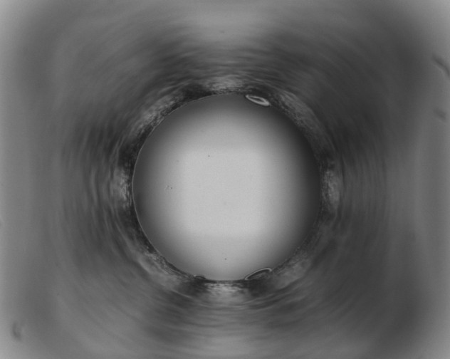 X0000103430380200809191706