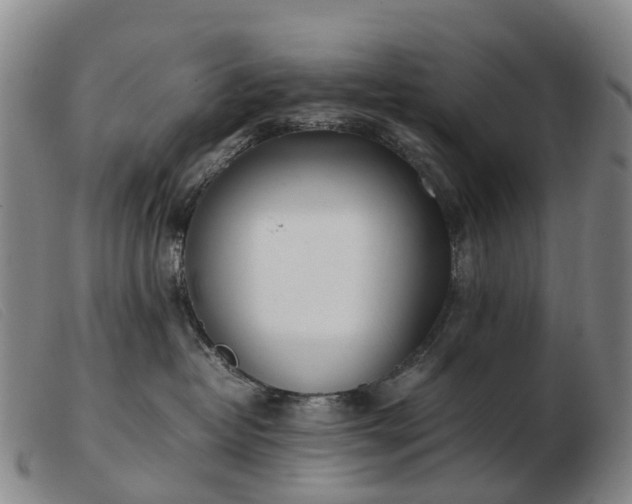 X0000103430382200809191706