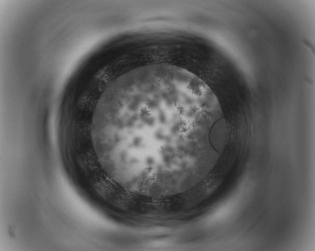 X0000103430383200809191706