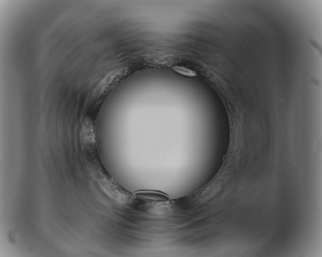 X0000103430384200809191706
