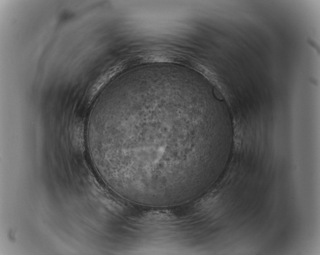 X0000103430386200809191706