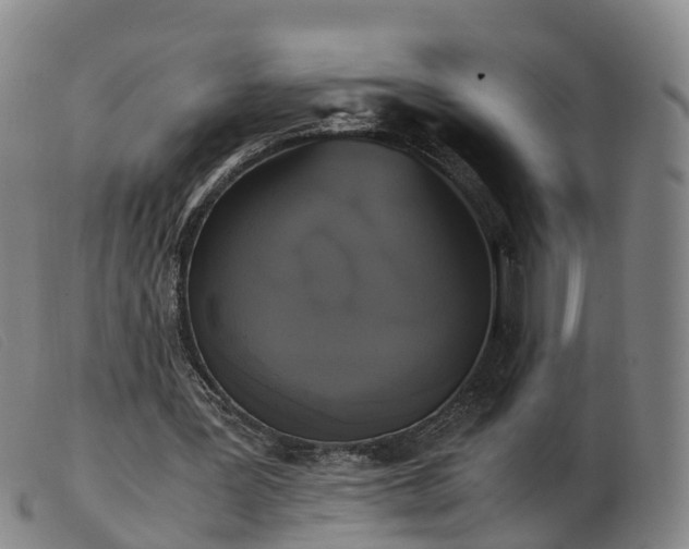 X0000103430387200809191706