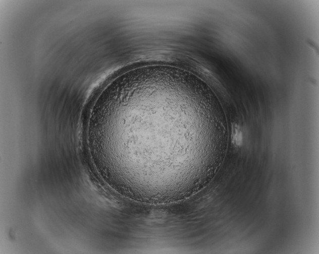 X0000103430388200809191706