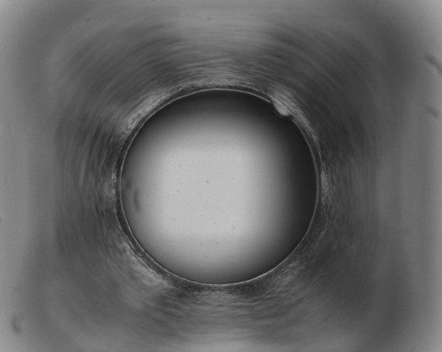 X0000103430389200809191706