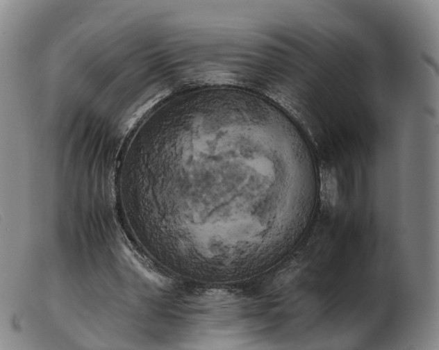 X0000103430390200809191706