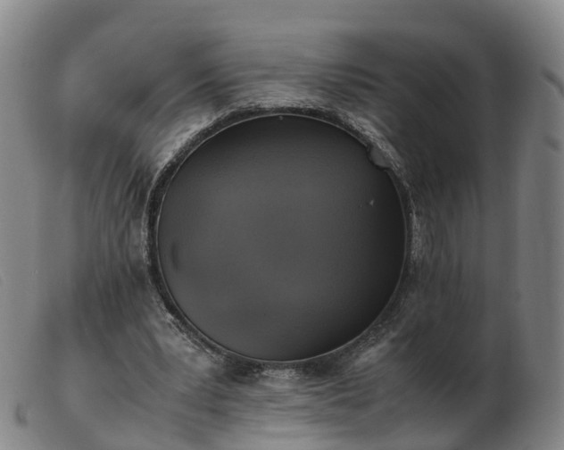 X0000103430391200809191706