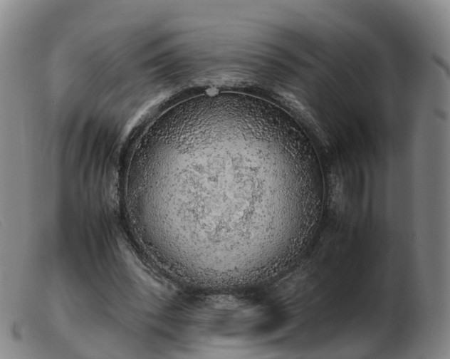 X0000103430392200809191706