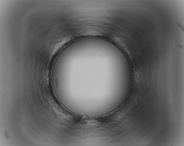 X0000103430395200809191706