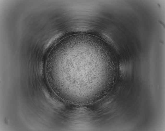 X0000103430396200809191706