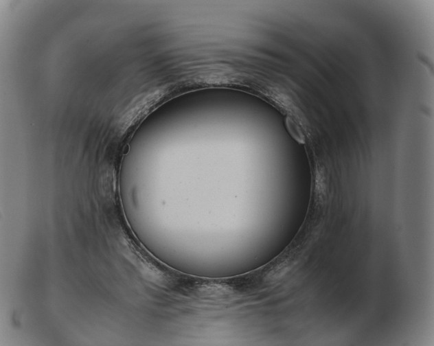 X0000103430397200809191706