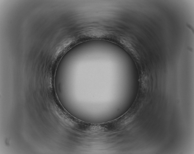 X0000103430399200809191706