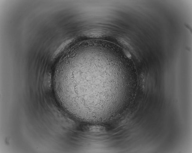 X0000103430400200809191706