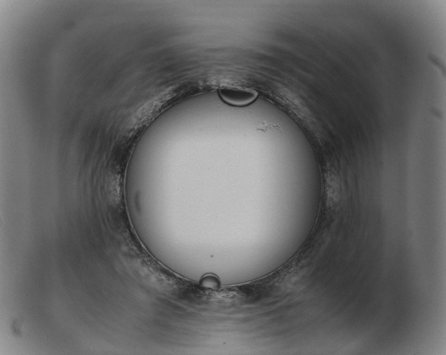 X0000103430401200809191706