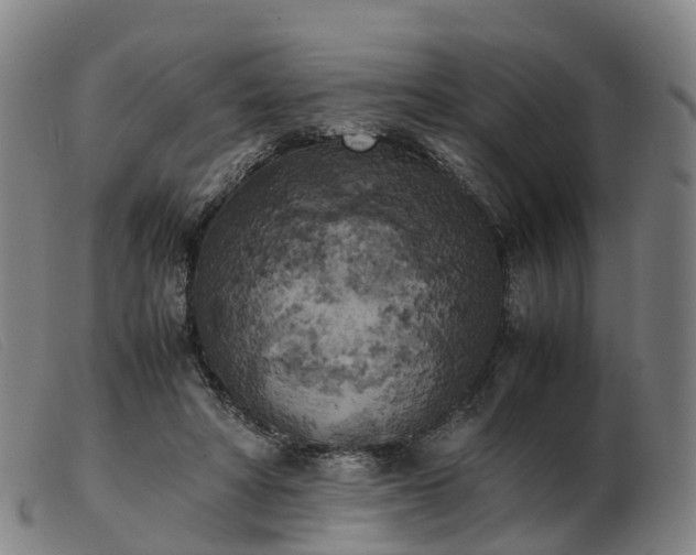 X0000103430402200809191706
