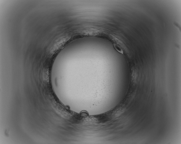 X0000103430403200809191706