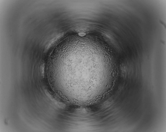 X0000103430404200809191705