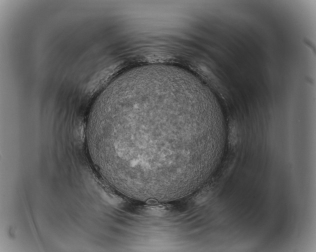 X0000103430405200809191705