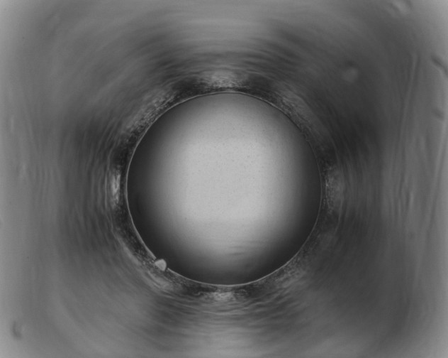 X0000103430406200809191705