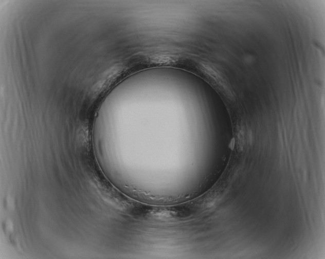 X0000103430407200809191705