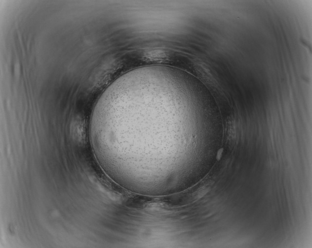 X0000103430408200809191705