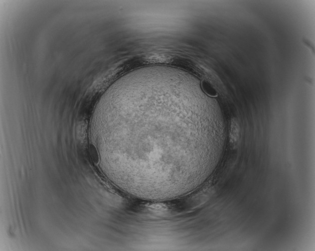 X0000103430409200809191705