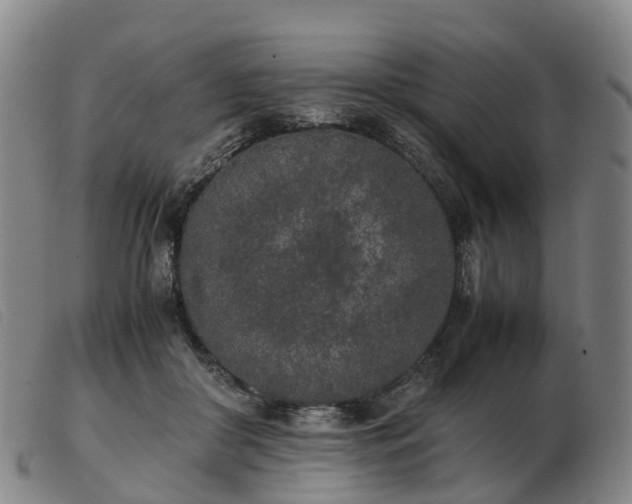 X0000103430410200809191705