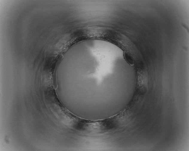 X0000103430411200809191705