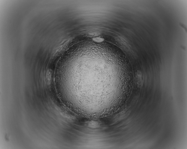 X0000103430412200809191705