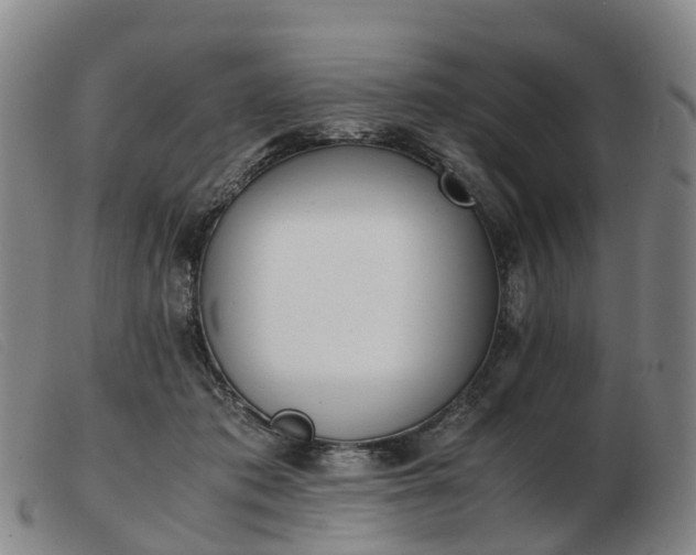 X0000103430413200809191705