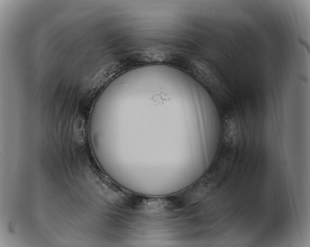 X0000103430414200809191705
