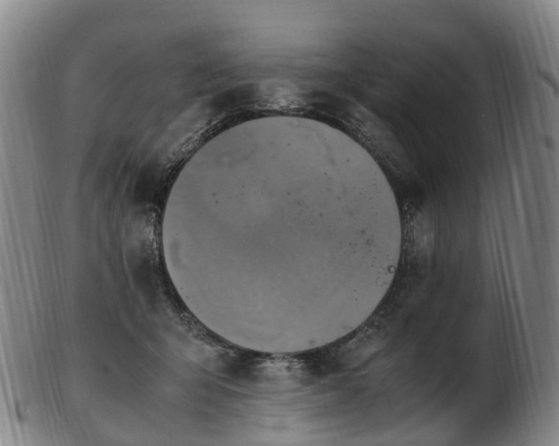 X0000103430415200809191705