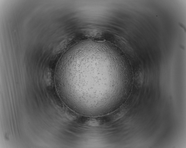 X0000103430416200809191705