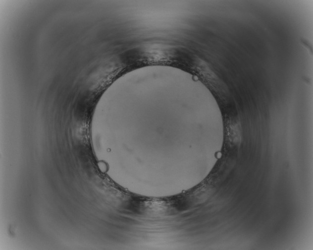 X0000103430419200809191705