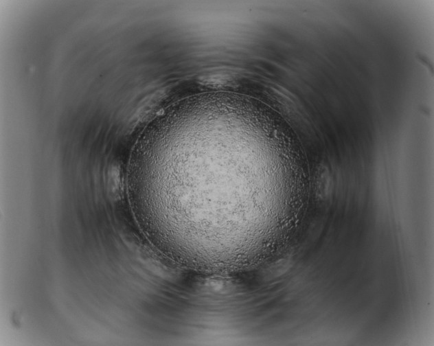 X0000103430420200809191705
