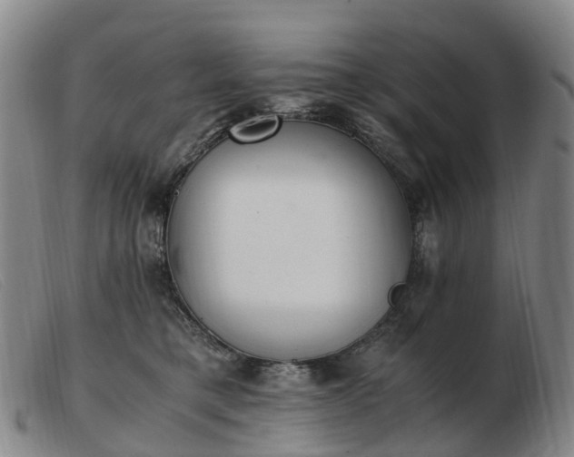 X0000103430421200809191705