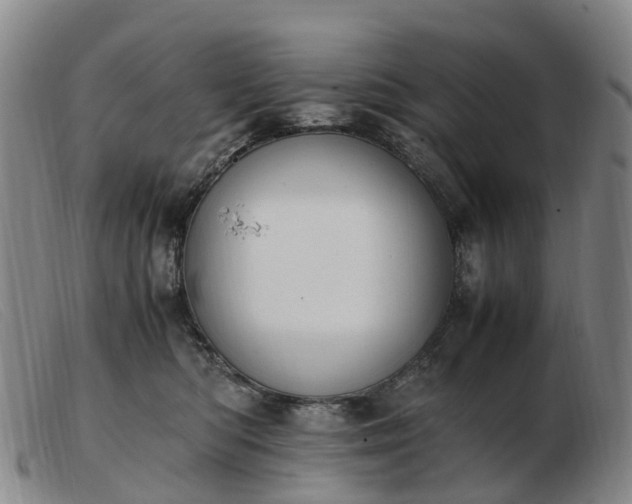 X0000103430422200809191705