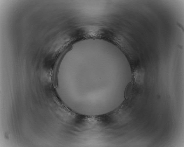 X0000103430423200809191705