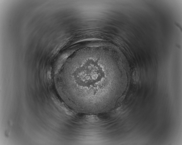 X0000103430424200809191705