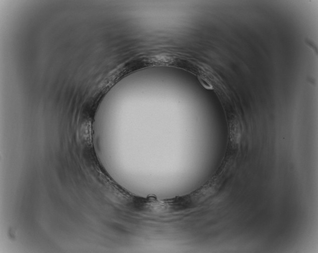 X0000103430425200809191705