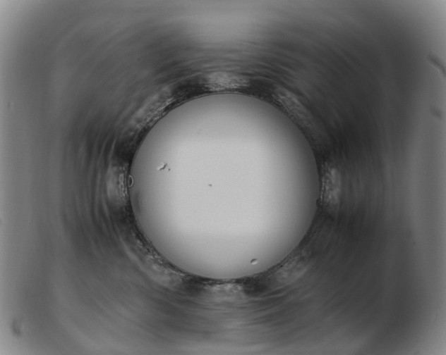 X0000103430426200809191705