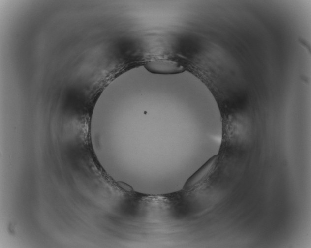 X0000103430427200809191705