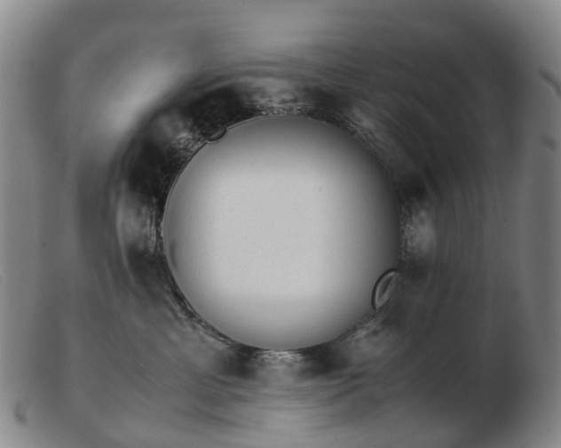 X0000103430429200809191705