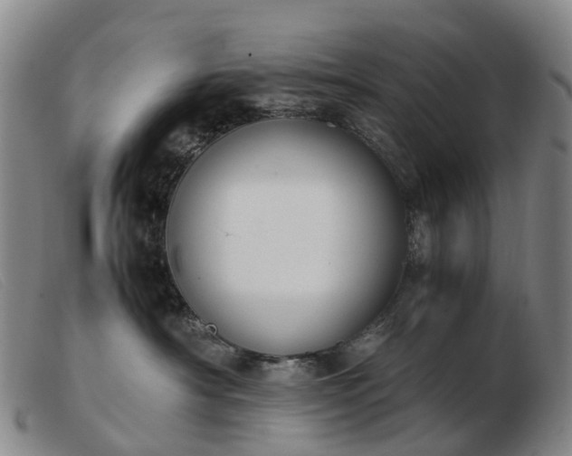 X0000103430430200809191705