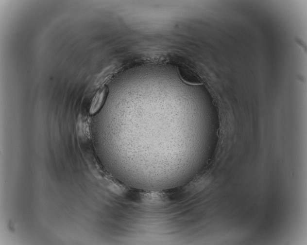 X0000103430432200809191705