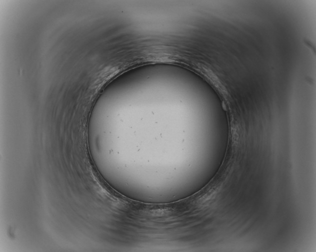 X0000103430433200809191704