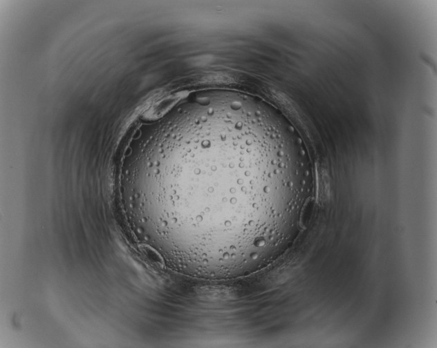 X0000103430435200809191704