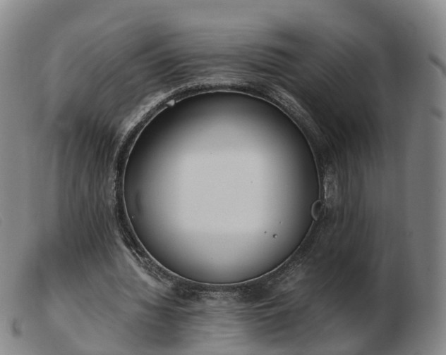 X0000103430436200809191704