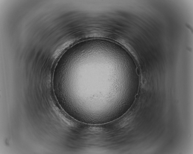 X0000103430437200809191704