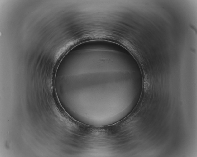X0000103430438200809191704
